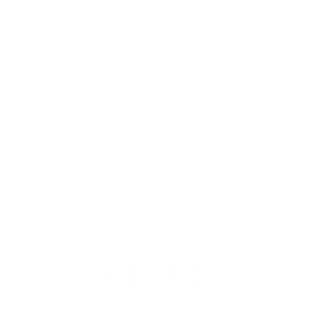 GeekVape Aegis Legend 3 Kit
