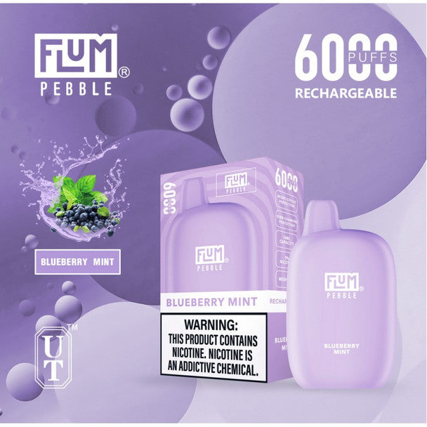 Flum Pebble Rechargeble 6000 Puffs
